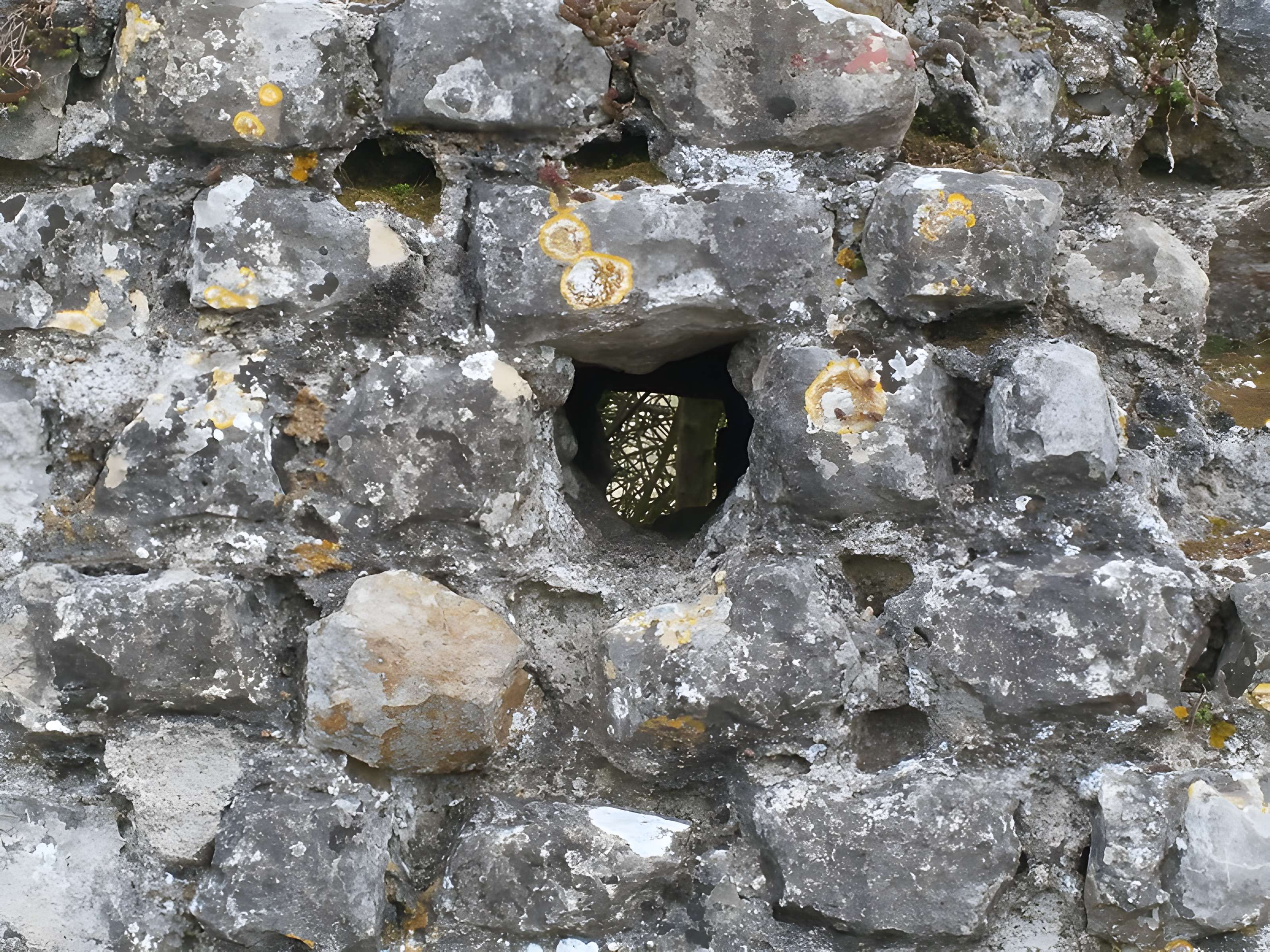Vestiges de l'aqueduc romain de Luynes