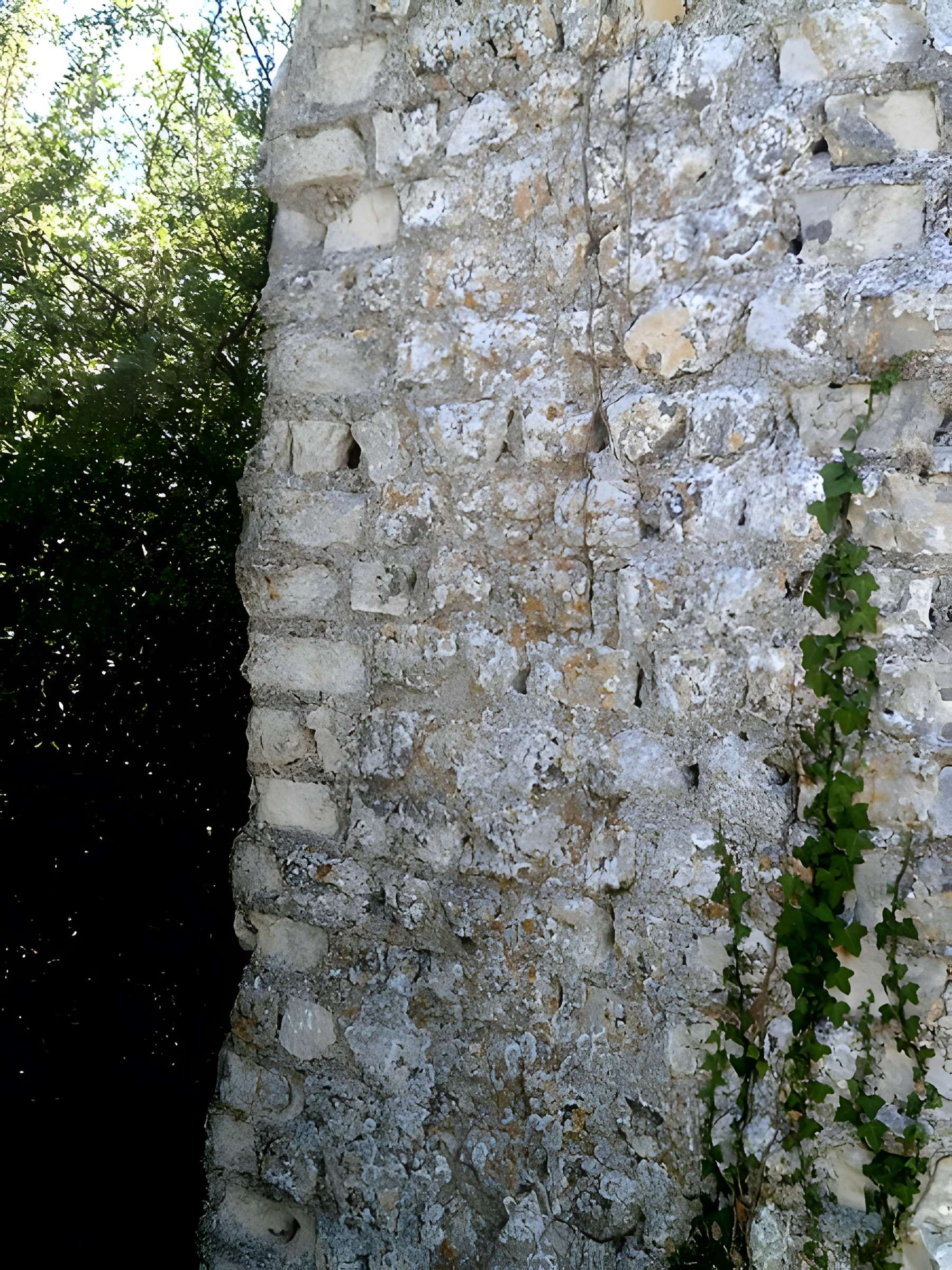 Vestiges de l'aqueduc romain de Luynes