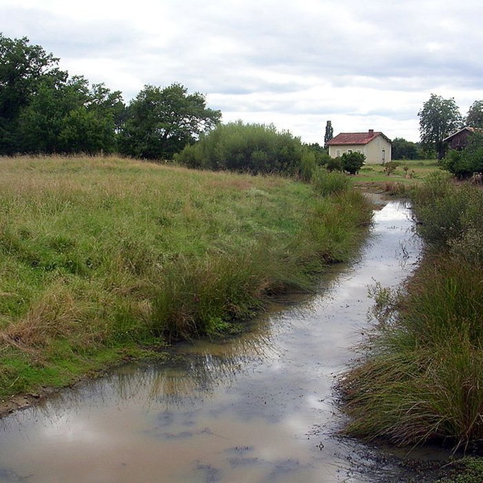 Photo de Vestiges du Château de Labrit