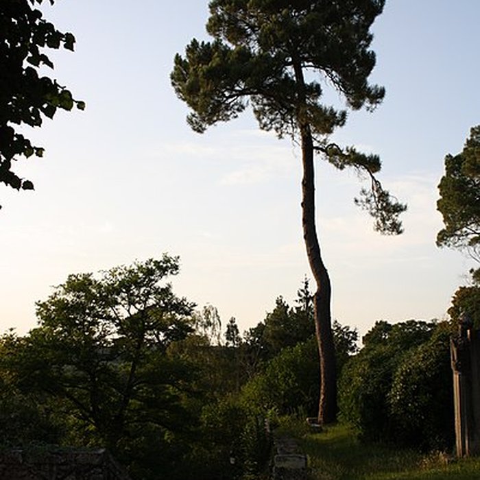 Photo de Église de lAssomption de Rochefort-en-Yvelines