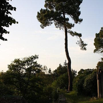 Église de lAssomption de Rochefort-en-Yvelines