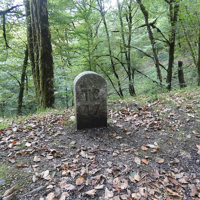 Photo de Viaduc des Rochers Noirs également sur commune de Soursac