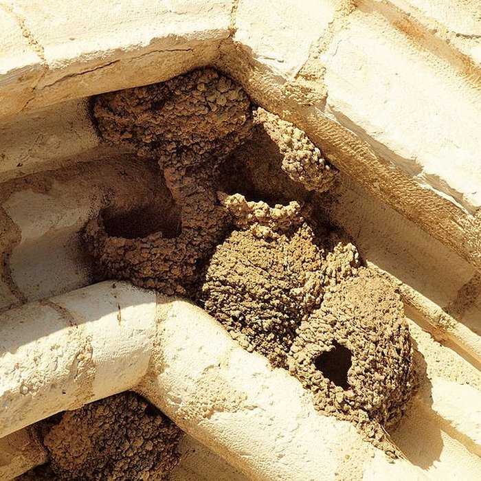 Photo de Église de lAssomption de Vincelles