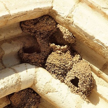 Église de lAssomption de Vincelles