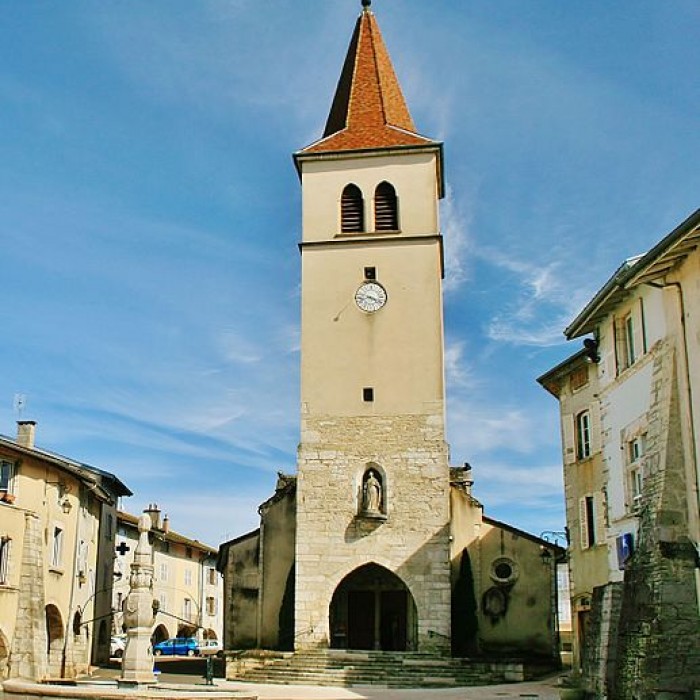 Photo de Église de lAssomption-de-la-Mère-de-Dieu dArinthod