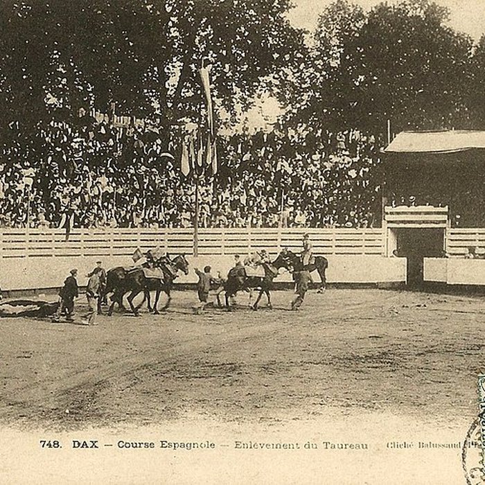 Photo de Arènes de Dax