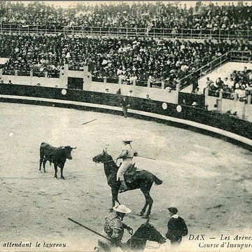 Arènes de Dax