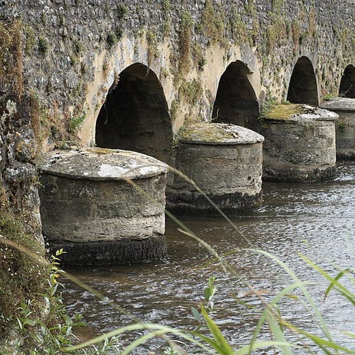 Photo de Vieux pont sur la Vègre à Asnières-sur-Vègre