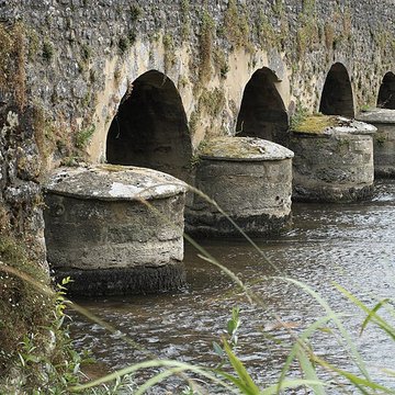 Vieux pont sur la Vègre à Asnières-sur-Vègre