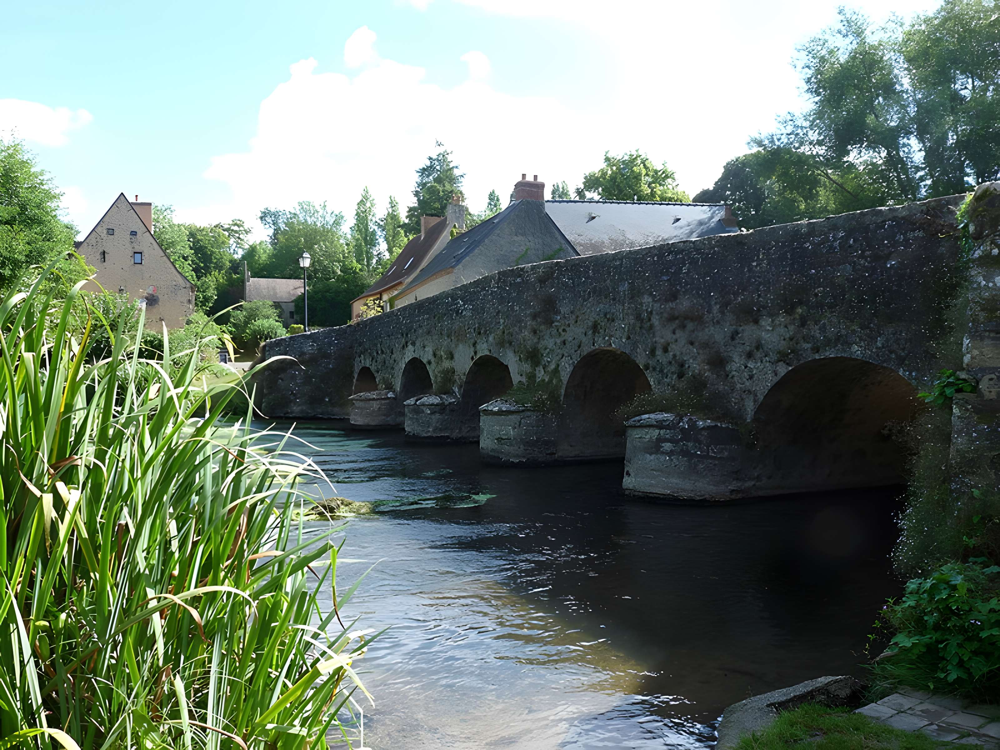 Vieux pont sur la Vègre à Asnières-sur-Vègre
