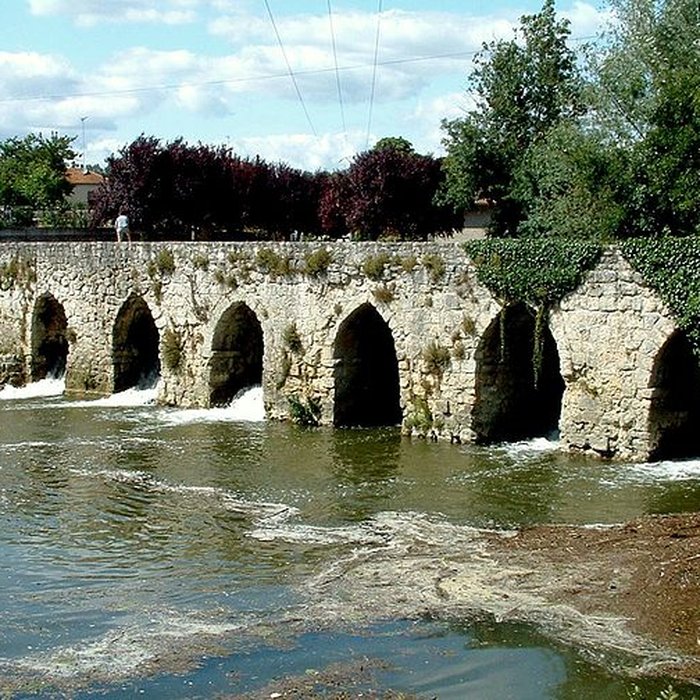 Photo de Pont médiéval, dit le vieux pont, sur le Dropt également sur commune dAgnac