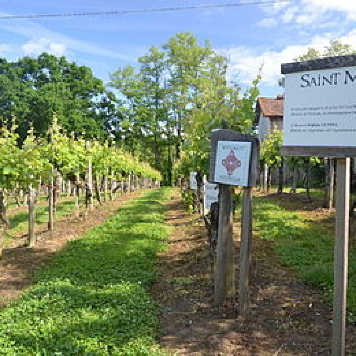 Photo de Vigne de la Ferme Pédebernade à Sarragachies