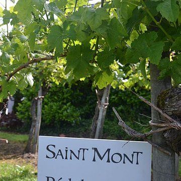 Vigne de la Ferme Pédebernade à Sarragachies