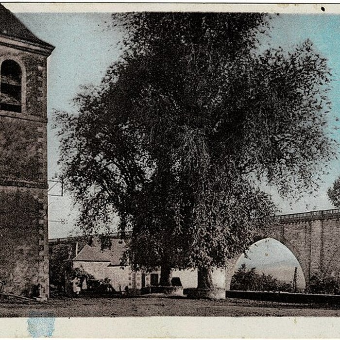 Photo de Église de Vignols et croix