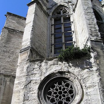 Église des Célestins dAvignon