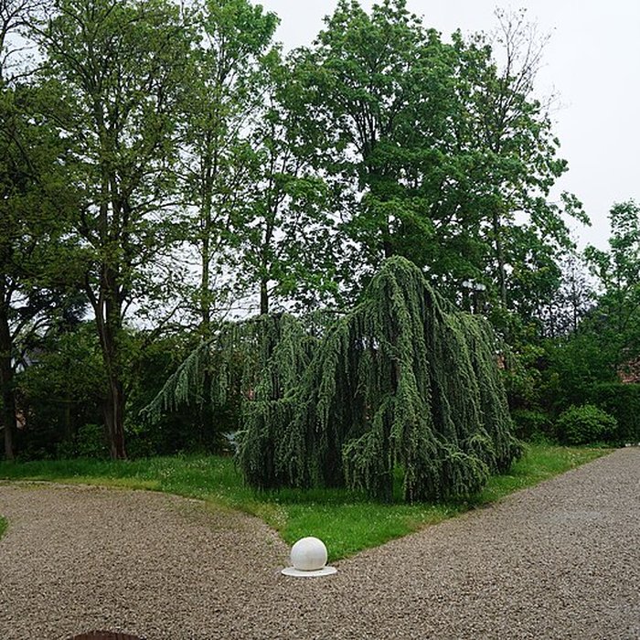 Photo de Villa Cavrois à Croix