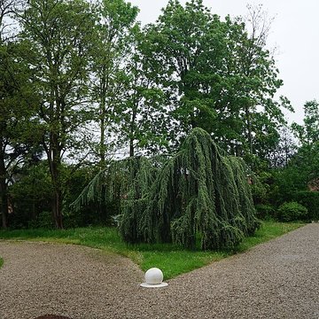 Villa Cavrois à Croix