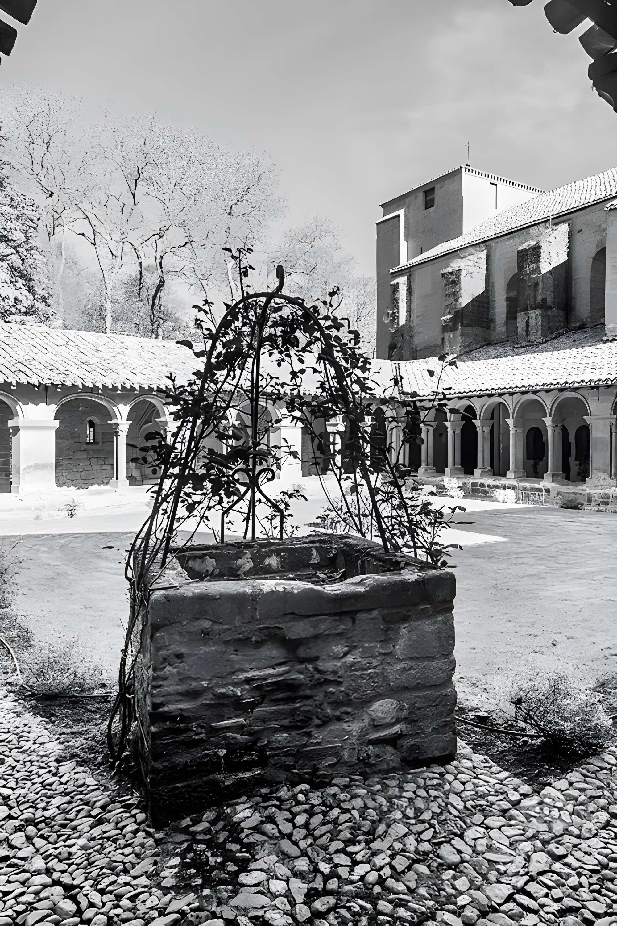 Abbaye bénédictine de Saint-Papoul