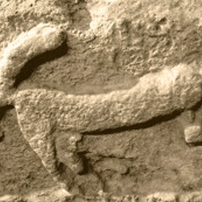 Photo de Arènes de Nimes