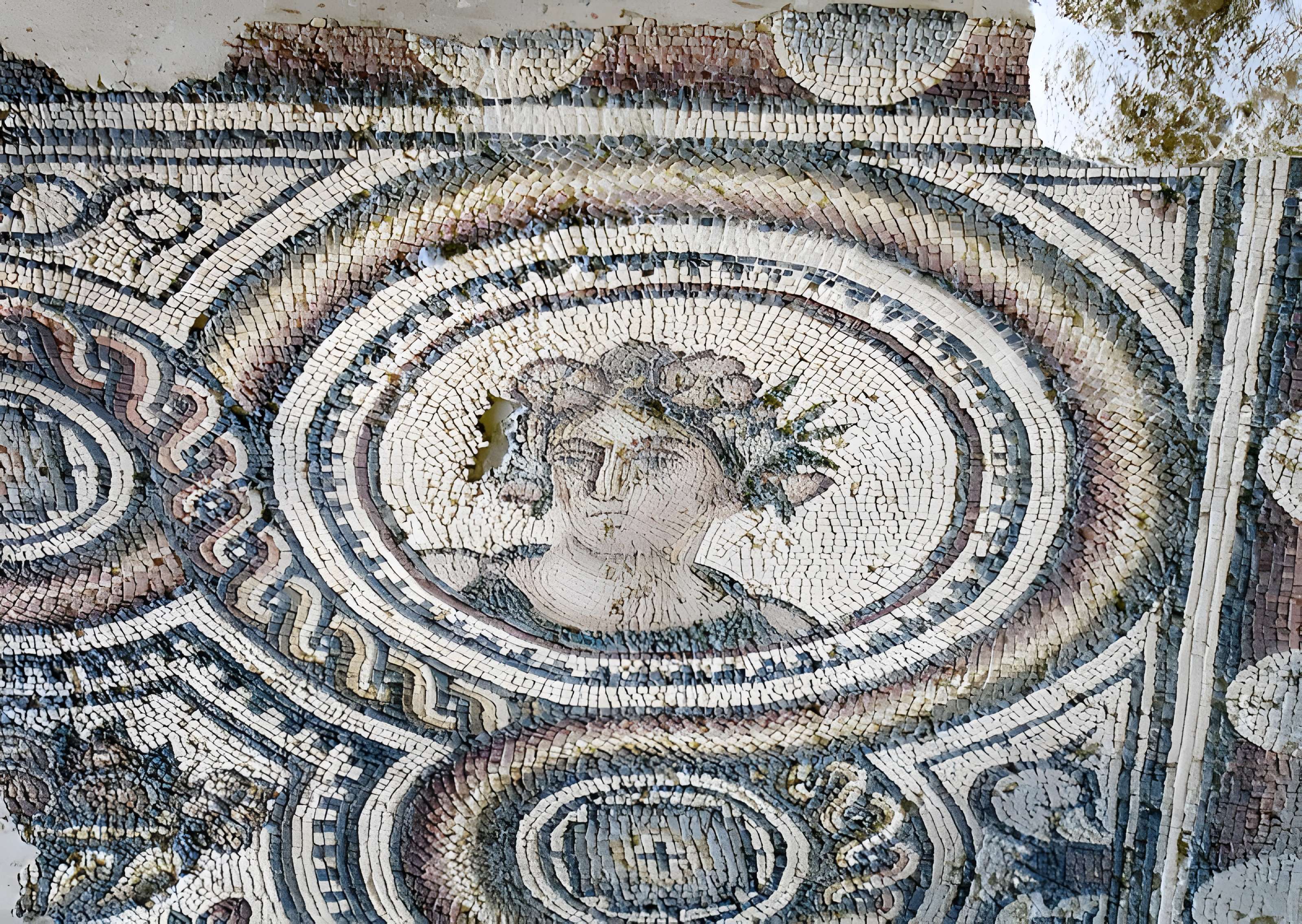 Villa gallo-romaine de Loupian