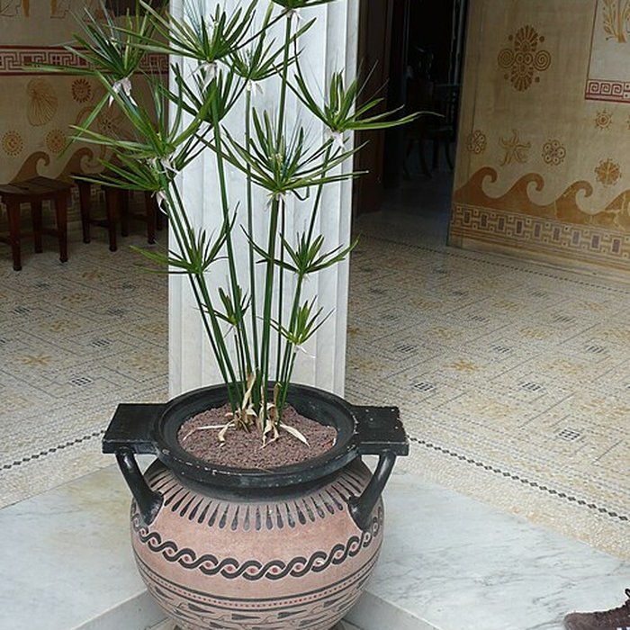 Photo de Villa Kérylos à Beaulieu-sur-Mer