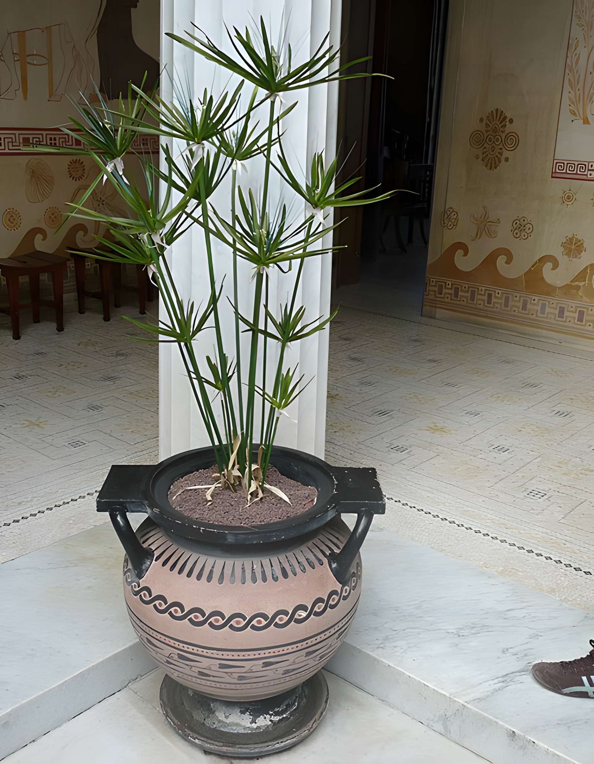 Villa Kérylos à Beaulieu-sur-Mer