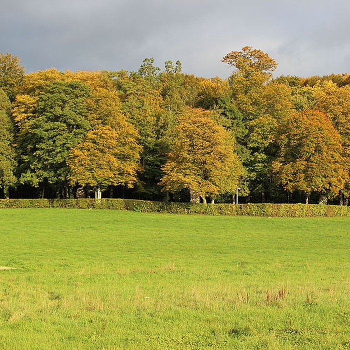 Photo de Église Notre-Dame de Benoîte-Vaux