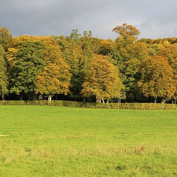 Église Notre-Dame de Benoîte-Vaux