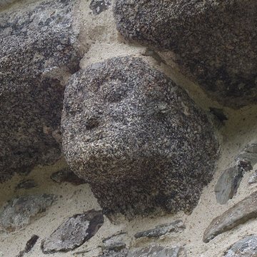 Église Notre-Dame de Bréville-sur-Mer
