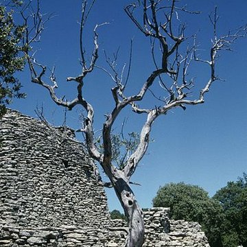 Village des Bories de Gordes