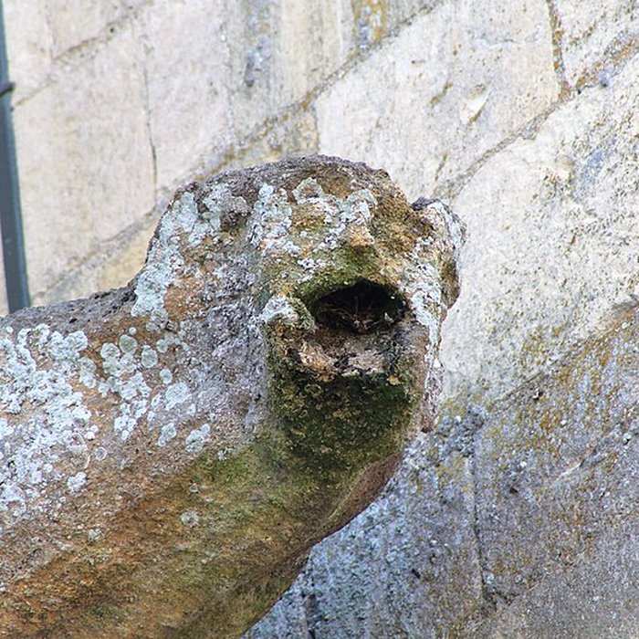 Photo de Église Notre-Dame de Démouville
