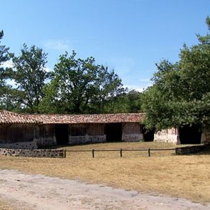 Photo de Arènes Jean de Lahourtique à Bascons