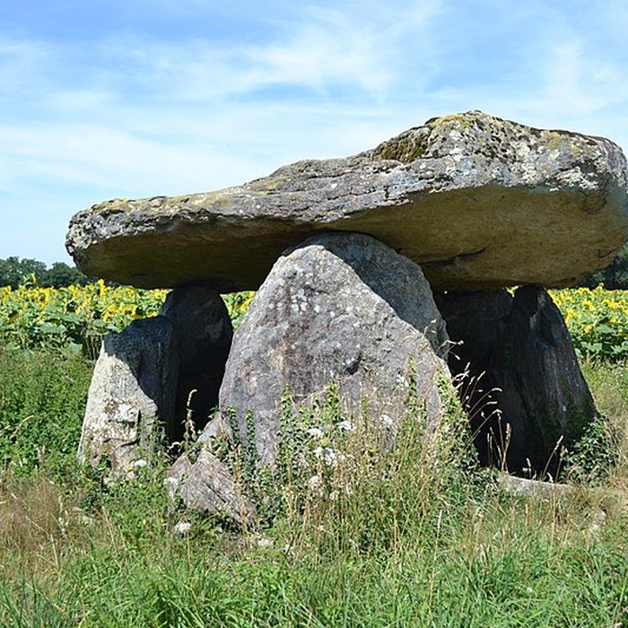 Photo de 2 Dolmens de la Betoulle à Berneuil