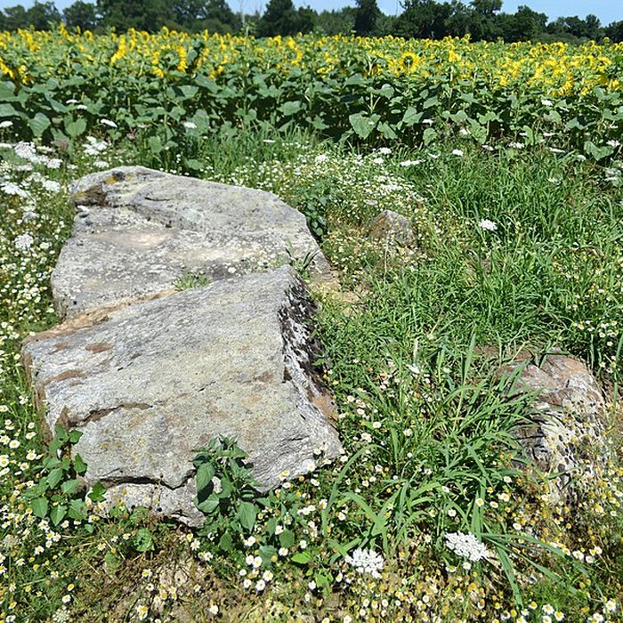 Photo de 2 Dolmens de la Betoulle à Berneuil