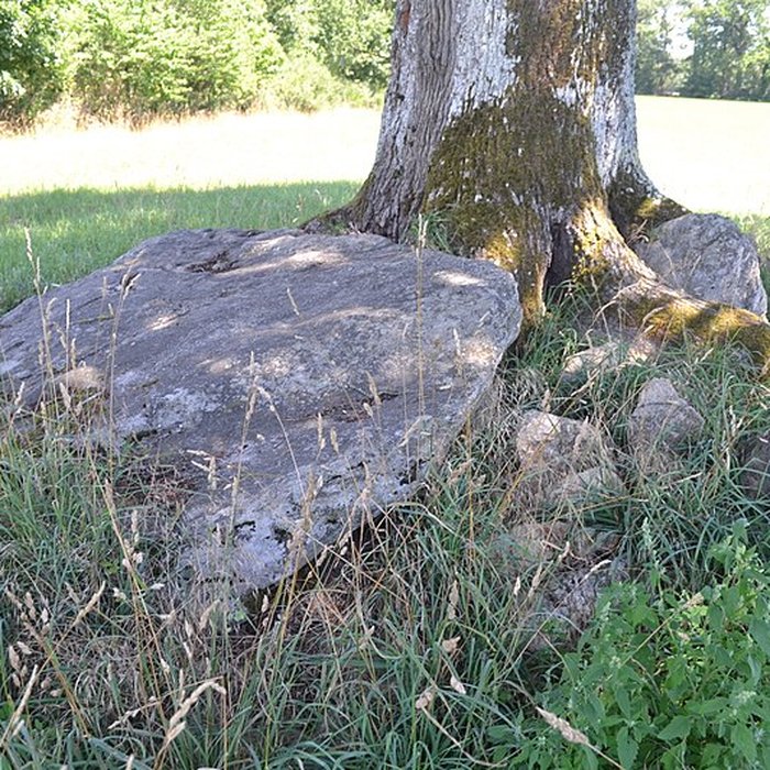 Photo de 2 Dolmens de la Betoulle à Berneuil