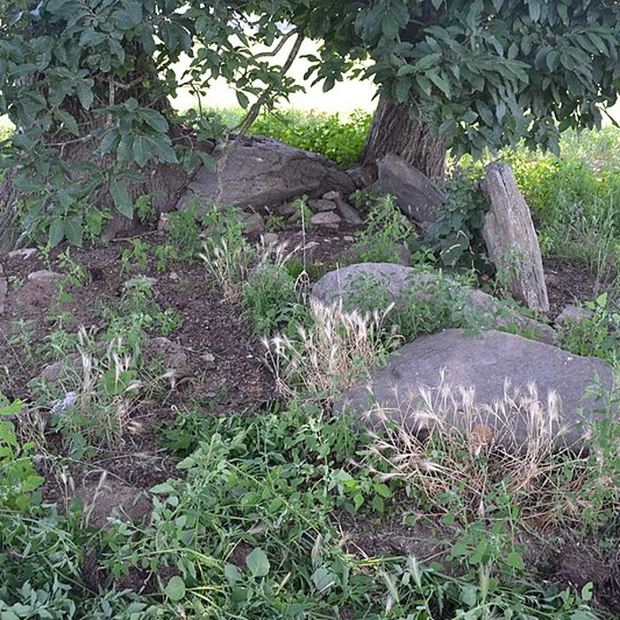 Photo de 2 Dolmens de la Betoulle à Berneuil