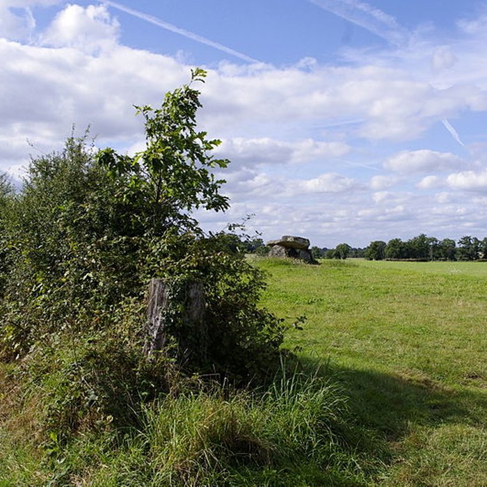 Photo de 2 Dolmens de la Betoulle à Berneuil