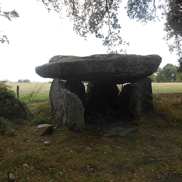 Photo de 2 Dolmens de la Betoulle à Berneuil