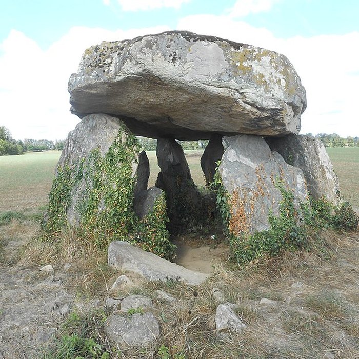 Photo de 2 Dolmens de la Betoulle à Berneuil