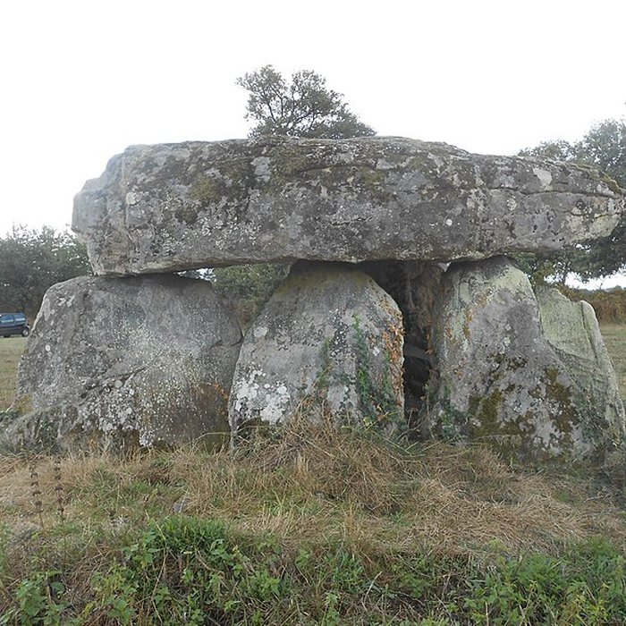 Photo de 2 Dolmens de la Betoulle à Berneuil