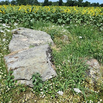 2 Dolmens de la Betoulle à Berneuil