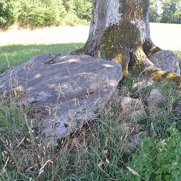 2 Dolmens de la Betoulle à Berneuil