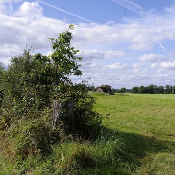 2 Dolmens de la Betoulle à Berneuil