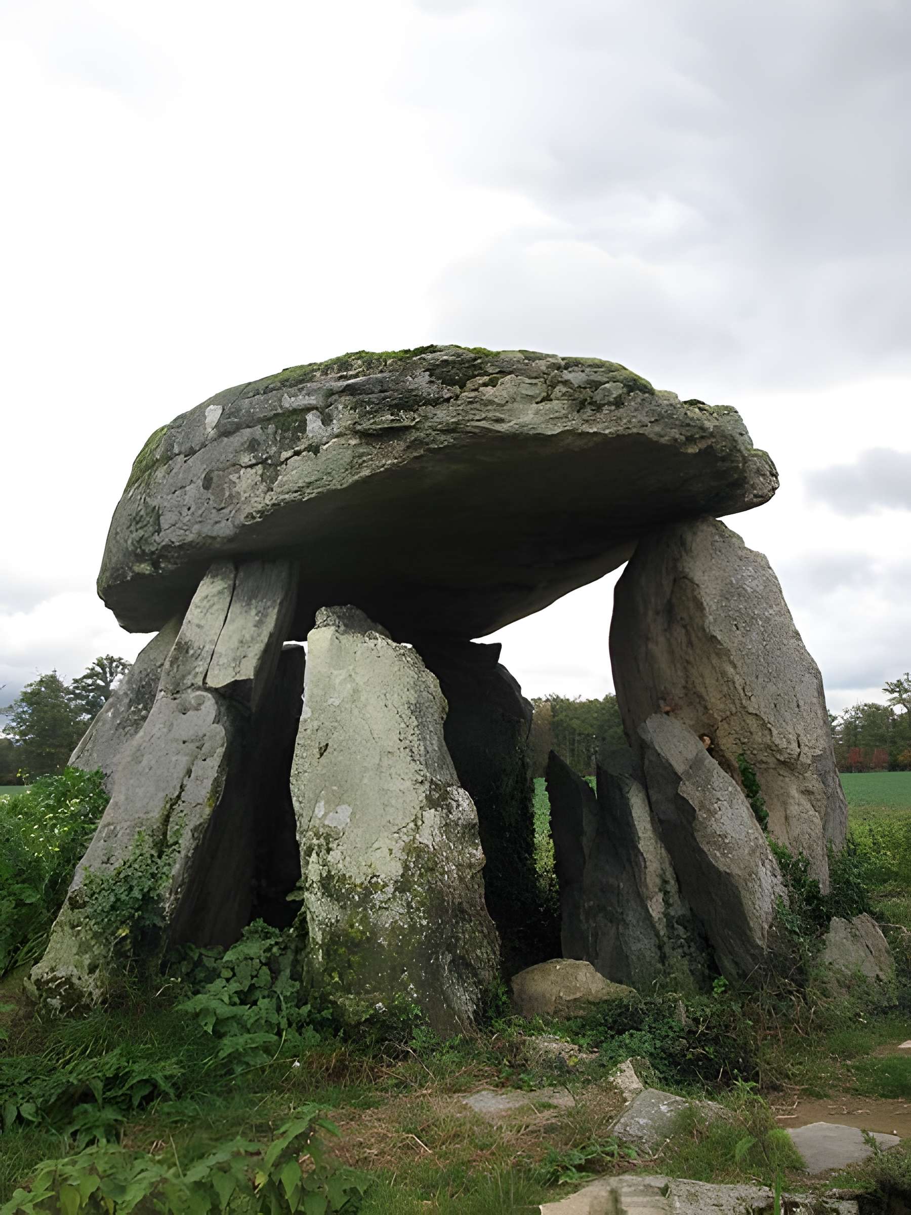 2 Dolmens de la Betoulle à Berneuil Dolmen N°1
