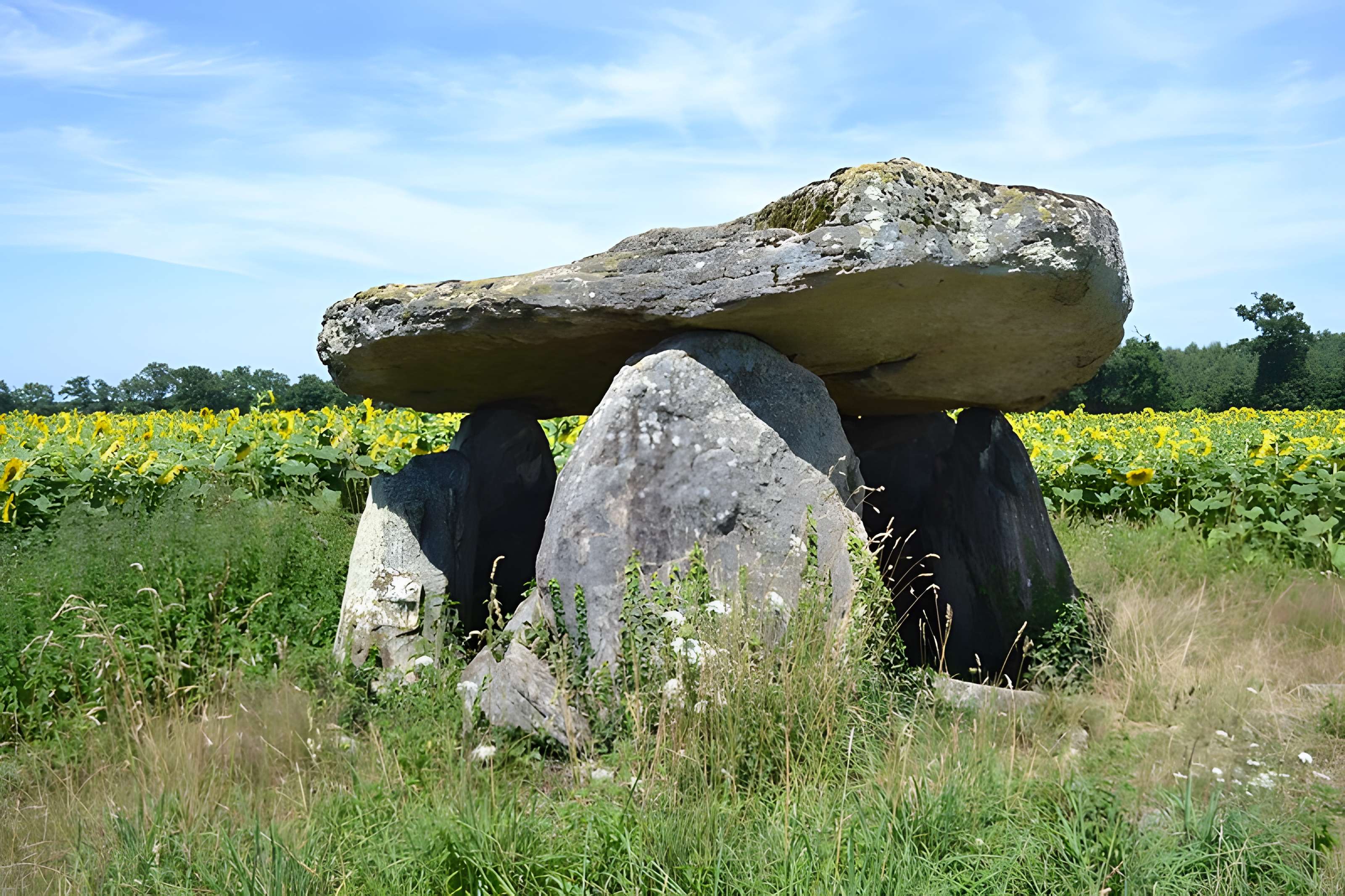 2 Dolmens de la Betoulle à Berneuil