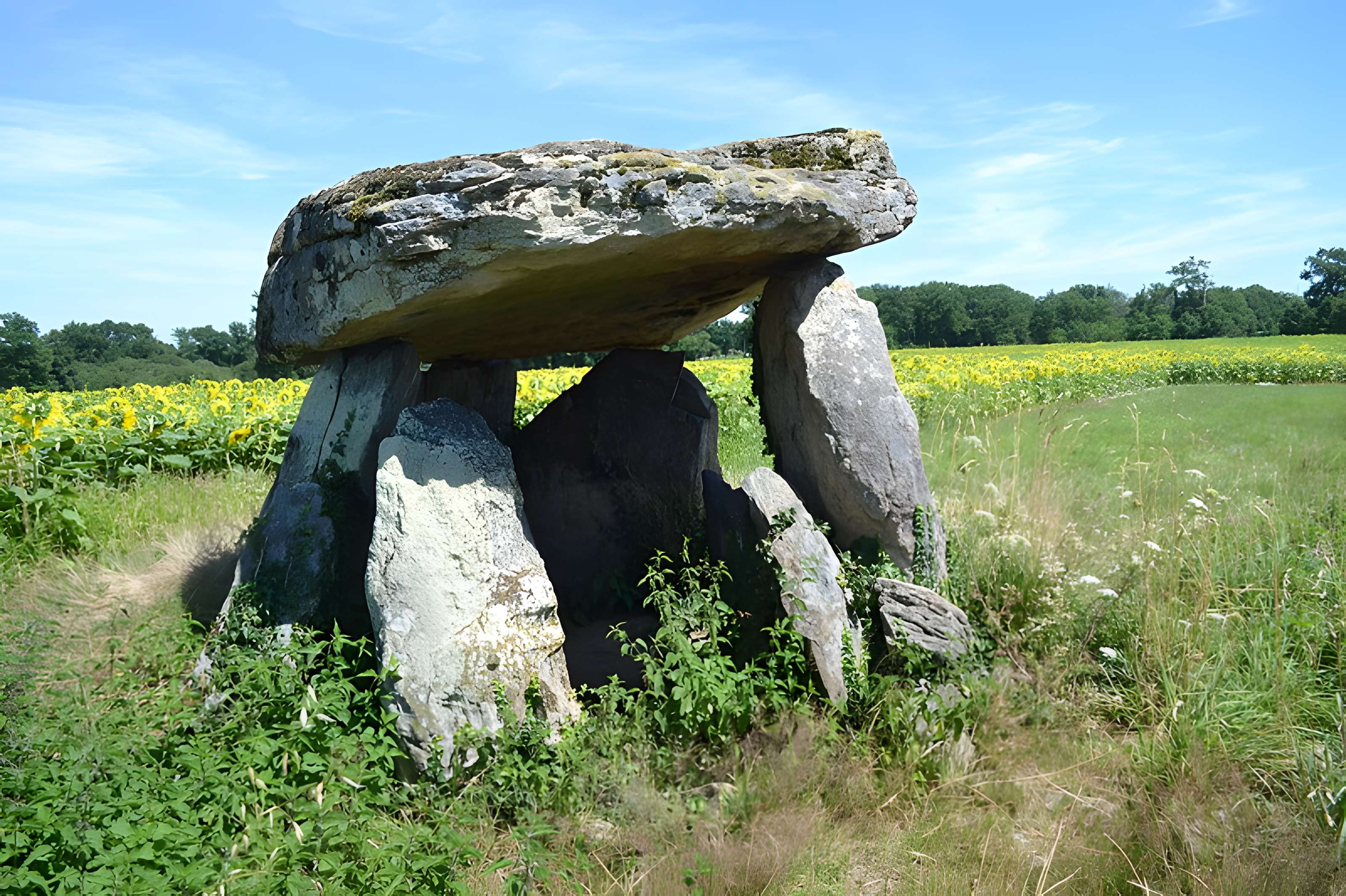 2 Dolmens de la Betoulle à Berneuil