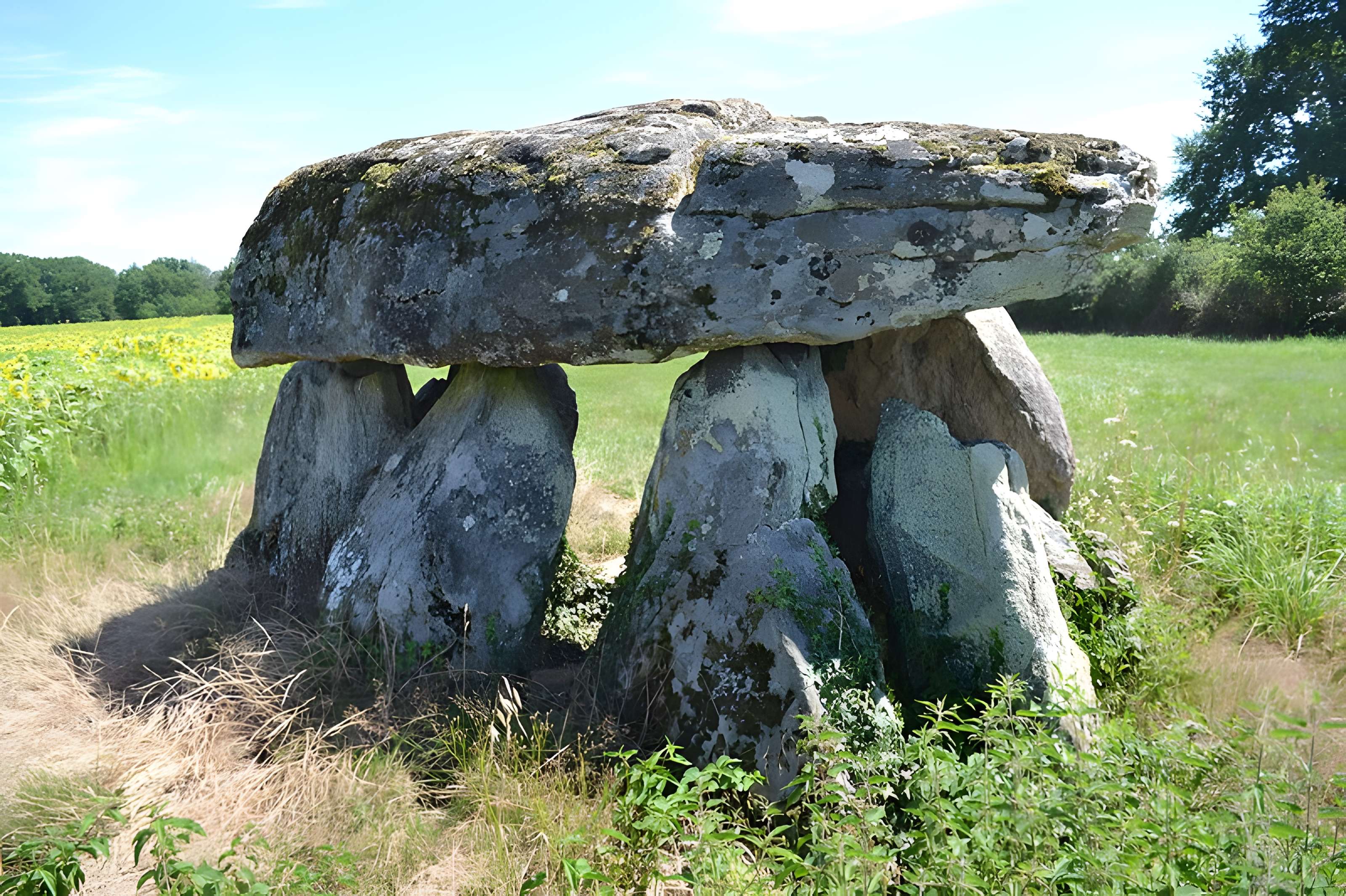 2 Dolmens de la Betoulle à Berneuil