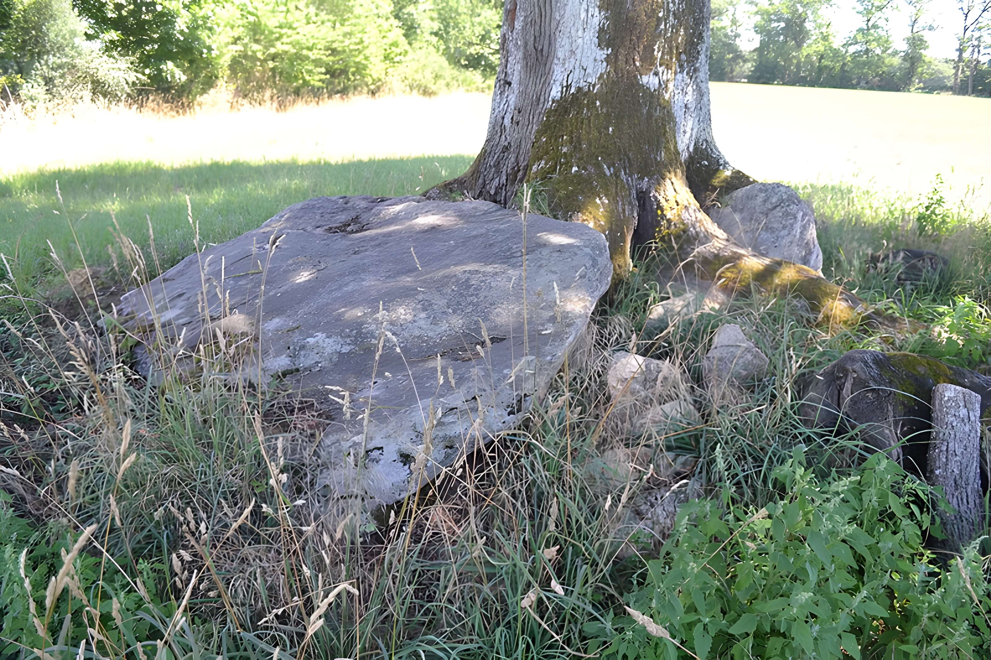 2 Dolmens de la Betoulle à Berneuil