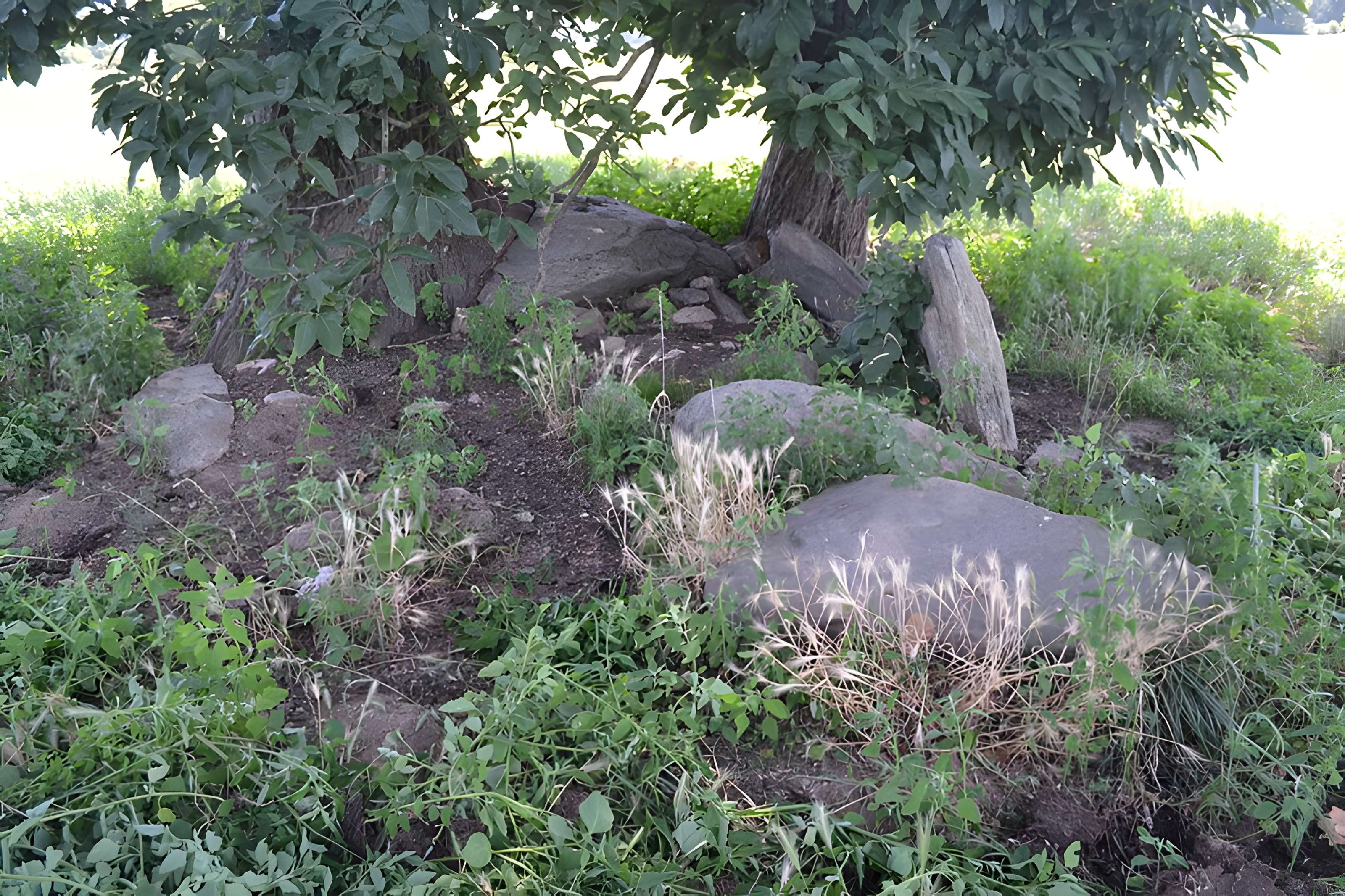 2 Dolmens de la Betoulle à Berneuil