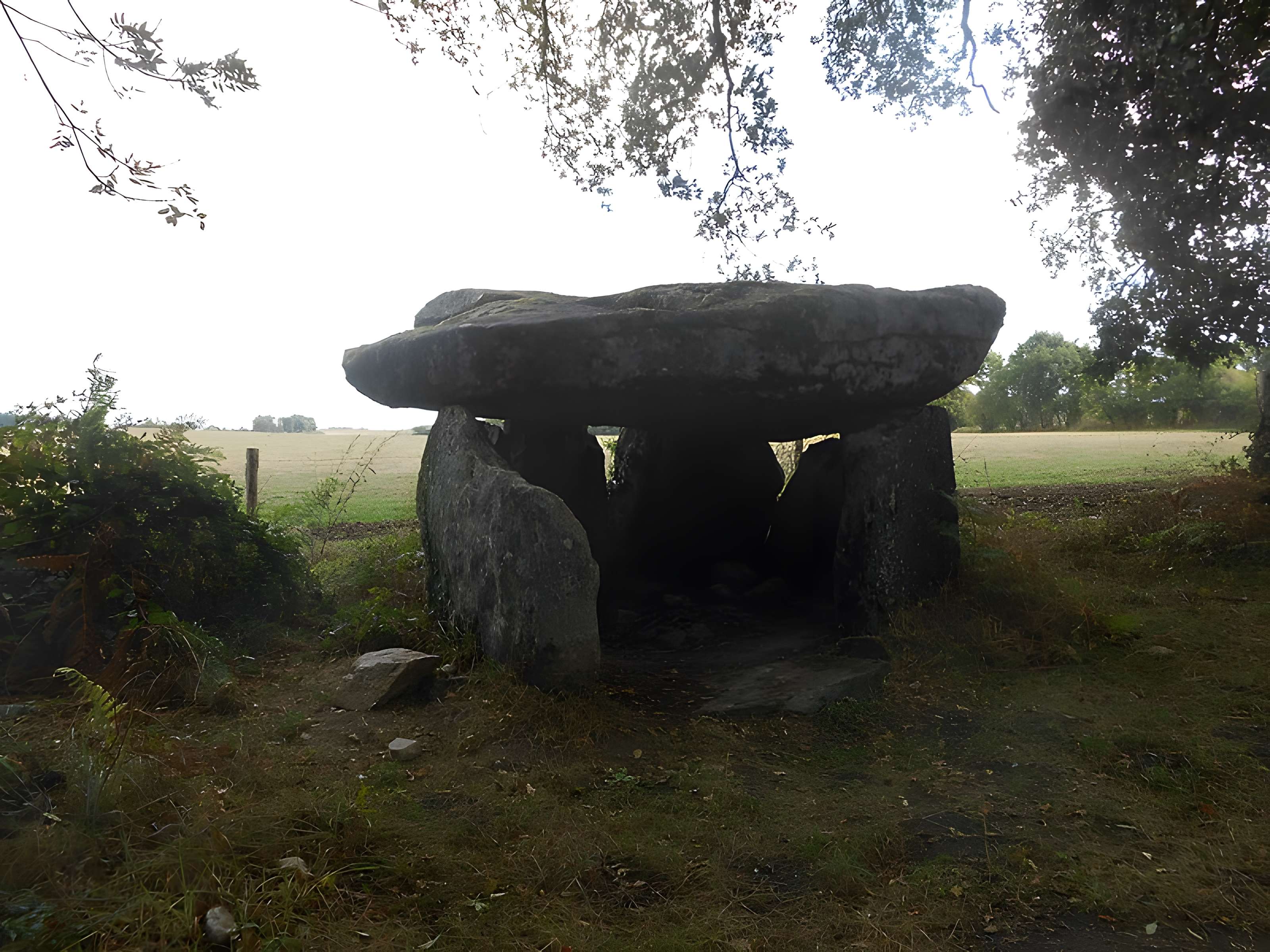 2 Dolmens de la Betoulle à Berneuil